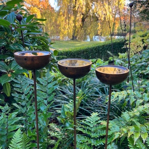 Large rain catchers made of metal which rust over time, filled with water, birds drawn to bathe, green foliage in background