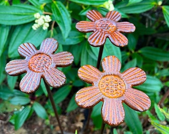 Trio of Decorative Daisies