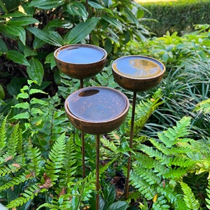 Large rain catchers made of metal which rust over time, filled with water, birds drawn to bathe, green foliage in background