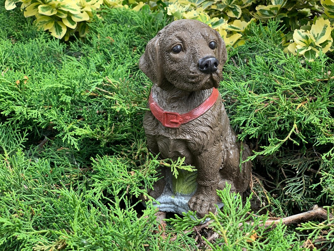 Amazing Labrador Statue Stone Garden Labrador Cement Labrador Etsy