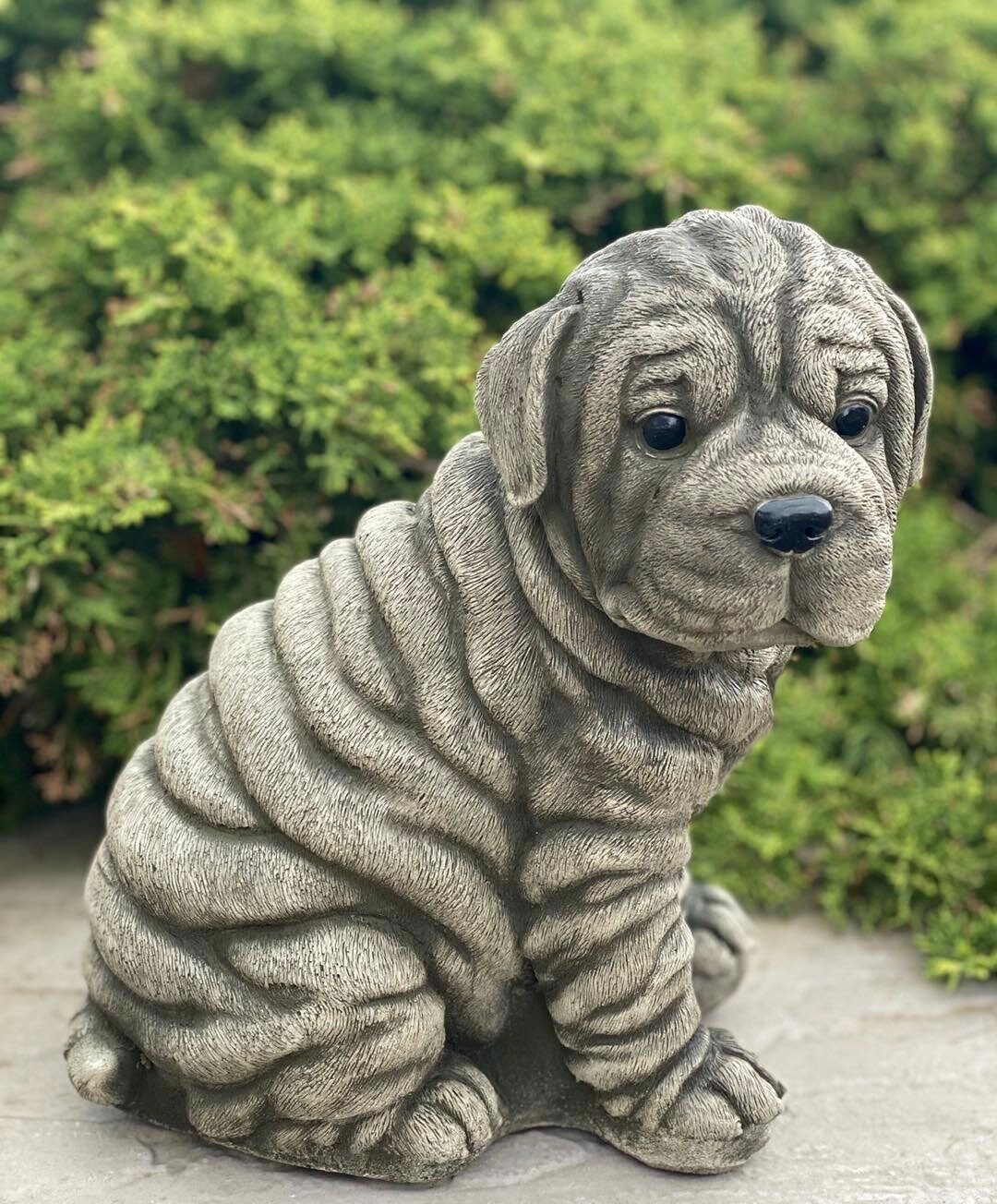 Sharpei Stone Statue Concrete Dog Statue Cement Sharpei Etsy UK