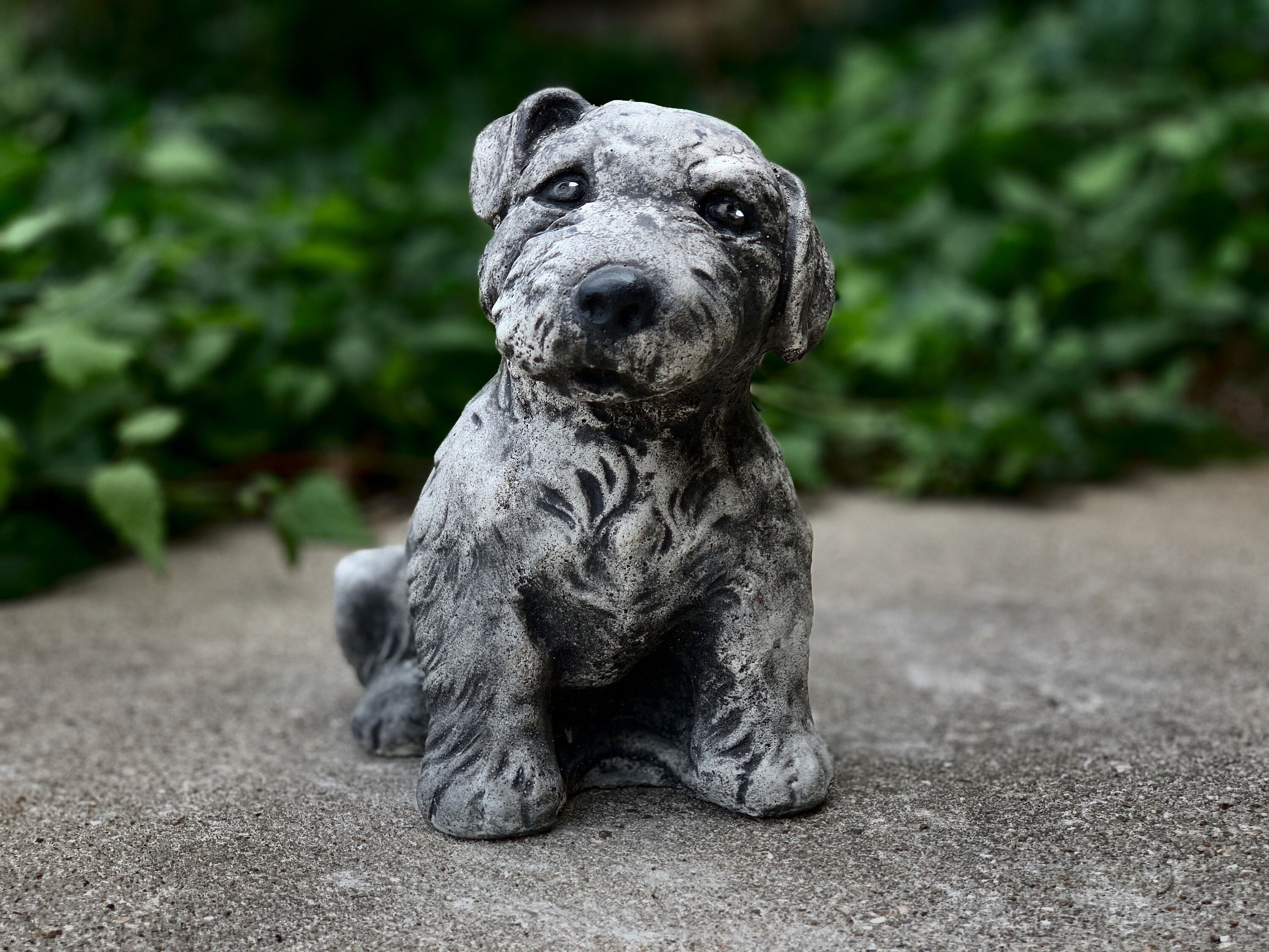 How Do You Stop Dogs Pooping On Concrete