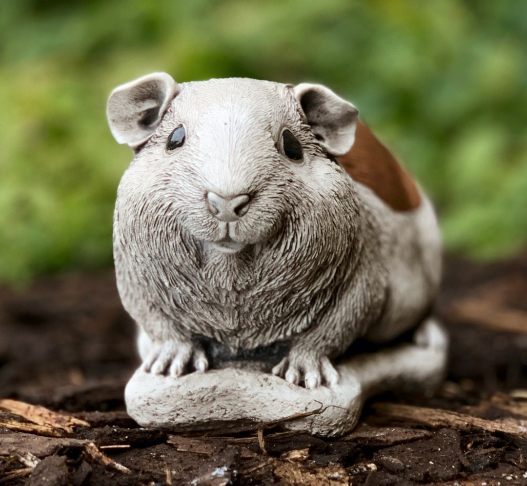 Cute Guinea Pig Garden Statue Guinea Pig Outdoor Ornament Realistic