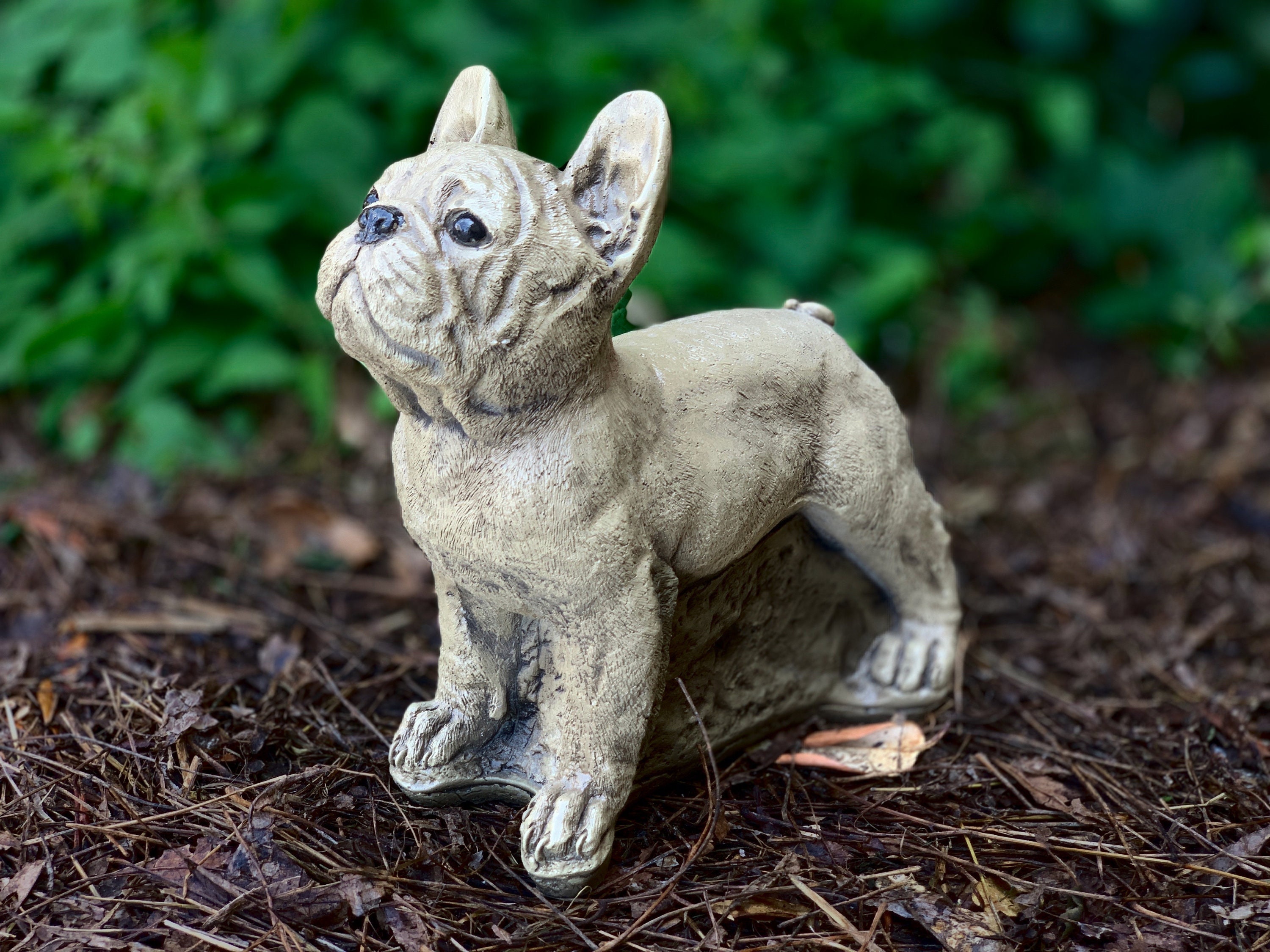 Figura del bulldog francese Statua del bulldog in cemento Scultura del cane  in cemento Arte del cane personalizzata Cani in cemento Statua del giardino  dell'animale domestico Regalo per la perdita dell'animale domestico 