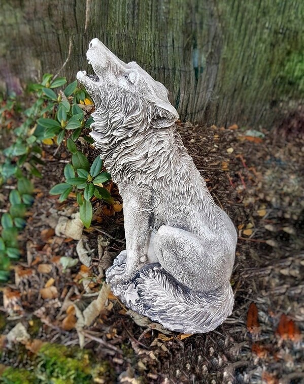 Donnagott Coyote Statue