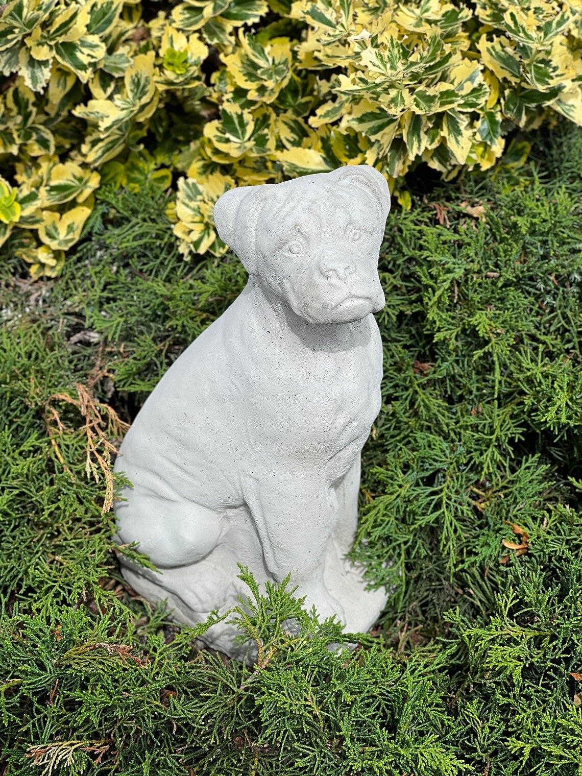 Stone Garden Detailed Dog Statue Realistic Outdoor Statue Etsy
