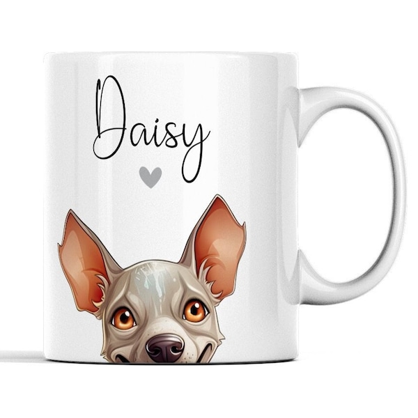 american-hairless-etsy