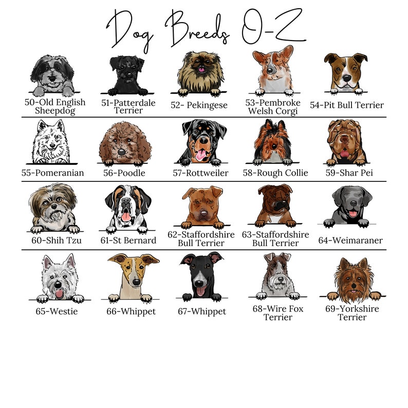 Taza personalizada para perro - Regalo para mamá - Regalo para papá - Taza para familia - Regalo para dueños de perros - Raza personalizada - Tazas personalizadas - Regalos para dueños de perros imagen 10