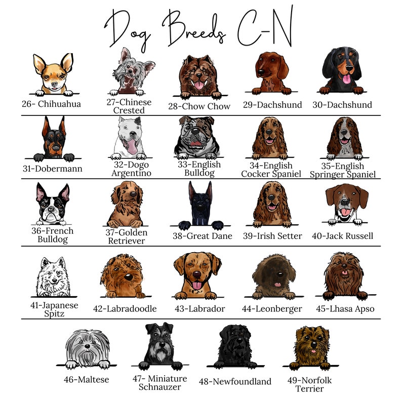 Taza personalizada para perro - Regalo para mamá - Regalo para papá - Taza para familia - Regalo para dueños de perros - Raza personalizada - Tazas personalizadas - Regalos para dueños de perros imagen 9