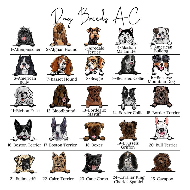 Taza personalizada para perro - Regalo para mamá - Regalo para papá - Taza para familia - Regalo para dueños de perros - Raza personalizada - Tazas personalizadas - Regalos para dueños de perros imagen 8