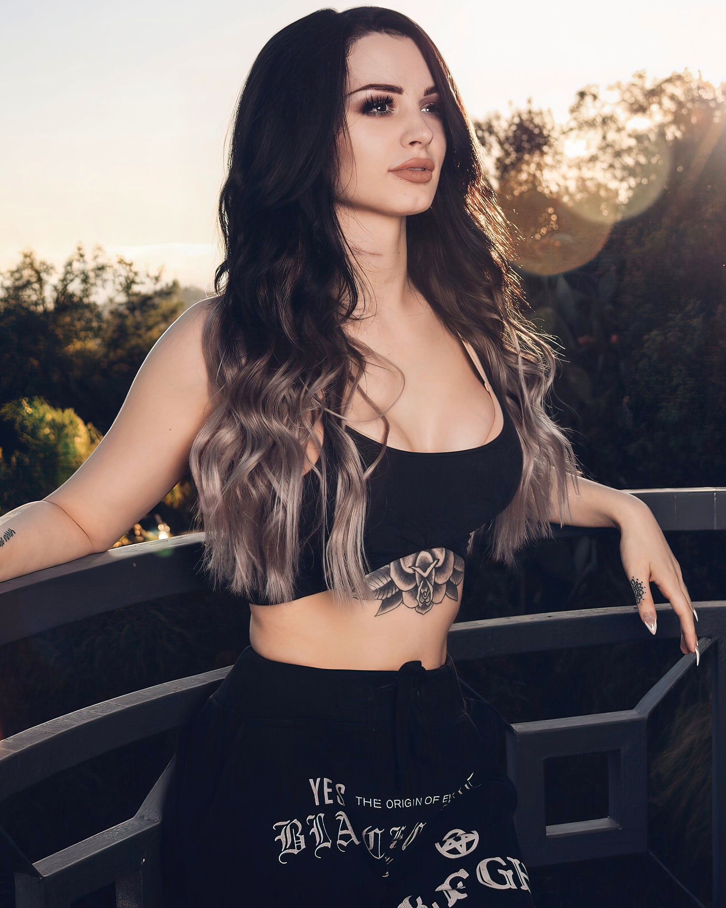 PAIGE WWE 8x10 Photo Photograph - Etsy