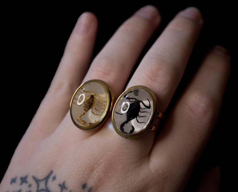 K&ouml;nnte beinhalten: Zwei goldene Ringe mit ovalen, durchsichtigen Harzeins&auml;tzen, die konservierte Skorpione zeigen. Ein Skorpion ist braun und der andere ist schwarz.