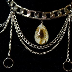 The Scorpion Choker main image 1