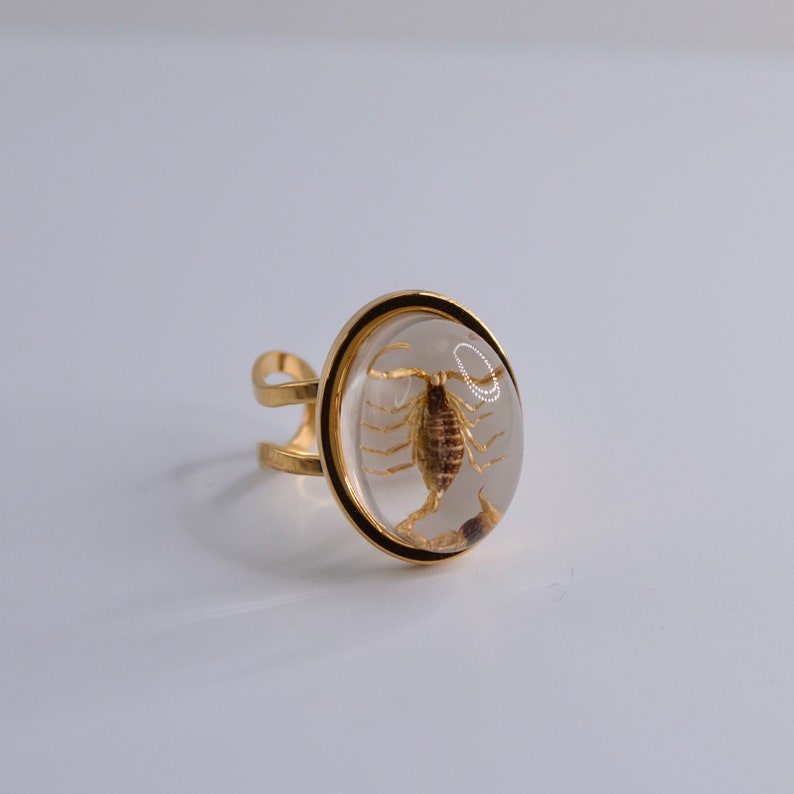 K&ouml;nnte beinhalten: Ein goldener Ring mit einer klaren Harzfassung, in der ein konservierter Skorpion zu sehen ist. Der Skorpion ist braun und hat ein detailliertes, filigranes Design.