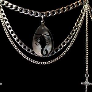 The Scorpion Choker