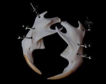 May include: Two white animal skulls with teeth, connected by metal rings and pins. The skulls are arranged in a circle, with the teeth facing outwards.