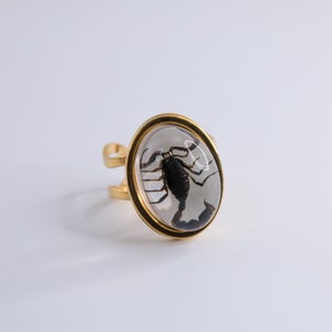 Scorpio Rings Real Scorpion