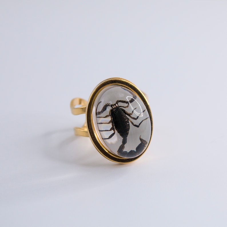K&ouml;nnte beinhalten: Ein goldener Ring mit einer klaren Harzeinlage, die einen konservierten Skorpion zeigt. Der Skorpion ist schwarz und hat seine Beine und seinen Schwanz eingerollt.