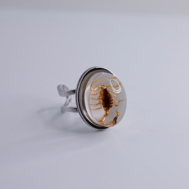 K&ouml;nnte beinhalten: Ein silberner Ring mit einer durchsichtigen Harzkuppel, in der sich ein konservierter Skorpion befindet. Der Skorpion ist braun und hat ein detailliertes, filigranes Design.