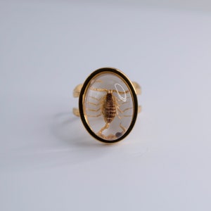 K&ouml;nnte beinhalten: Ein goldener Ring mit einem klaren, ovalen Harzeinsatz, in dem sich ein konservierter Skorpion befindet.
