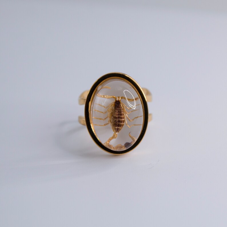 K&ouml;nnte beinhalten: Ein goldener Ring mit einem klaren, ovalen Harzeinsatz, in dem sich ein konservierter Skorpion befindet.