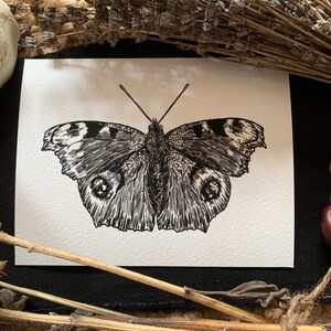 Peacock butterfly mini fine art print