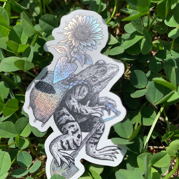 Graden Froggy Holographic Mat Vinyl Sticker