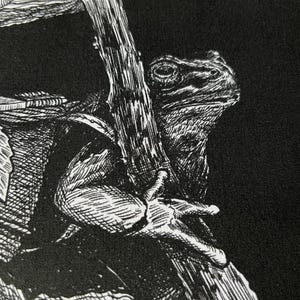 May include: A black fabric surface featuring a detailed white ink illustration of a frog resting against a tall mushroom stalk. The frog is depicted in profile with textured skin, while the mushroom cap extends over the top of the scene.