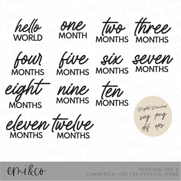 Monthly Milestone SVG, Baby Milestone SVG, Cricut SVG, Baby photo op, onesie