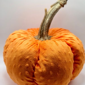 May include: A plush orange pumpkin with a brown stem. The pumpkin has a textured surface and is perfect for fall decor.