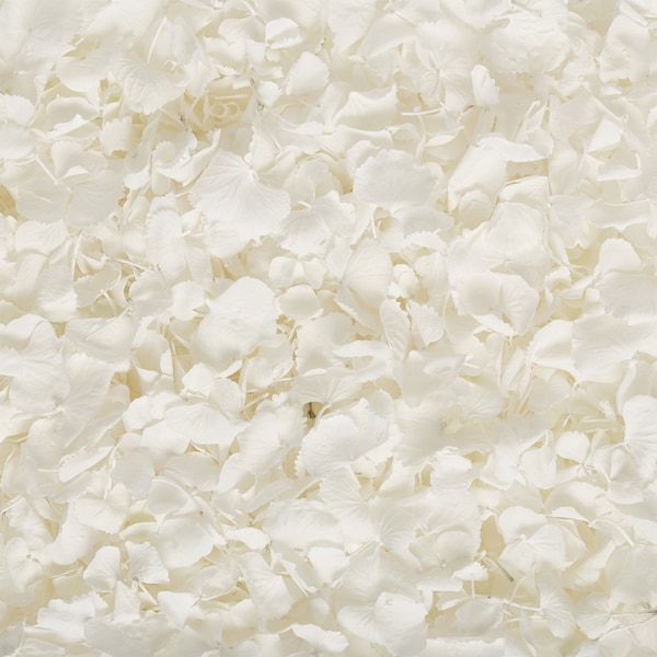 White  dried Hydrangea petal confetti