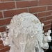20s Wax Flower Juliet Cap Cathedral Veil main image 0