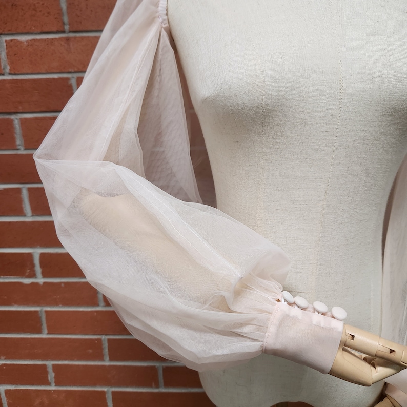 May include: A sheer, light pink blouse with long, puffy sleeves and white button detailing at the cuffs.