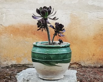 L - Antique plant pot, antique glazed terracotta planter dating back to the early 1930s, Grottaglie (Apulia, Italy)