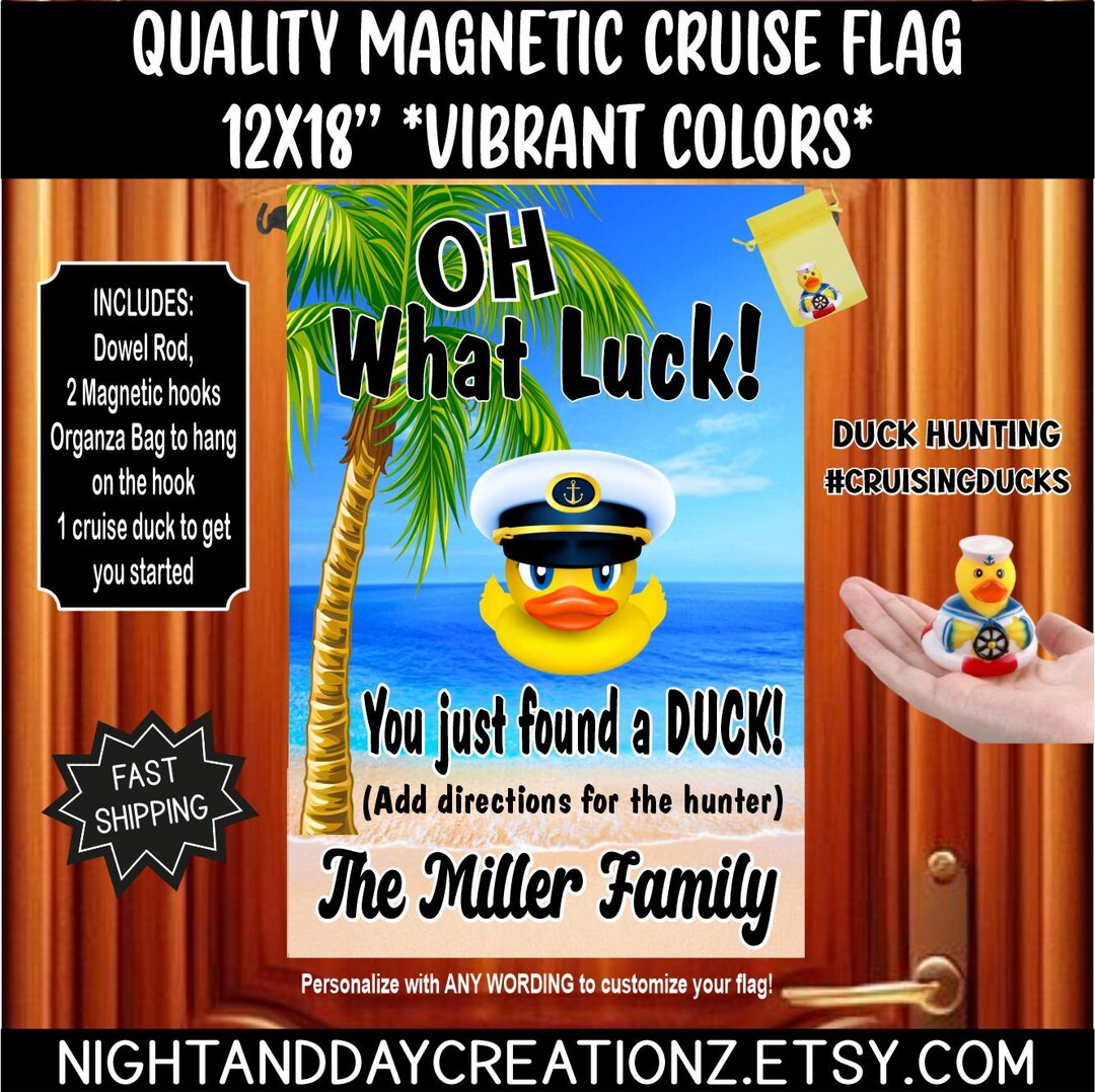 Cruising Duck Mini Mailbox Door Magnet, Duck Magnets, Funny