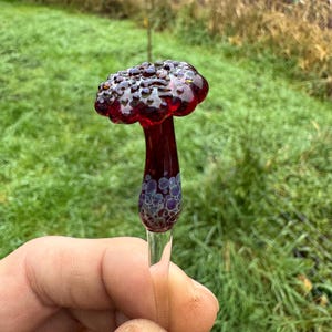 Puede incluir: Una escultura artesanal de vidrio con forma de hongo, con un sombrero y un tallo de color rojo oscuro. El sombrero tiene una textura con pequeñas cuentas rojas oscuras, y el tallo se transforma en una base clara y delgada. El hongo se sostiene contra un fondo verde borroso.