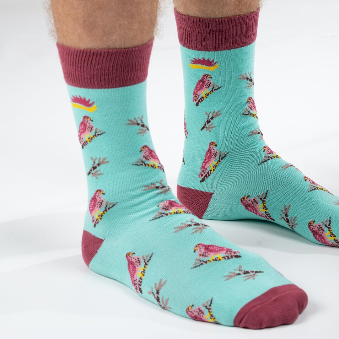 BAMBOO SOCKS SPARROWHAWK Bird Socks Birds of Prey Socks Blue Socks