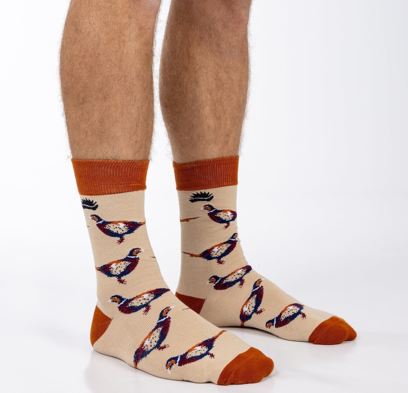 May include: A pair of beige socks with a brown cuff. The socks feature a repeating pattern of colourful pheasants.