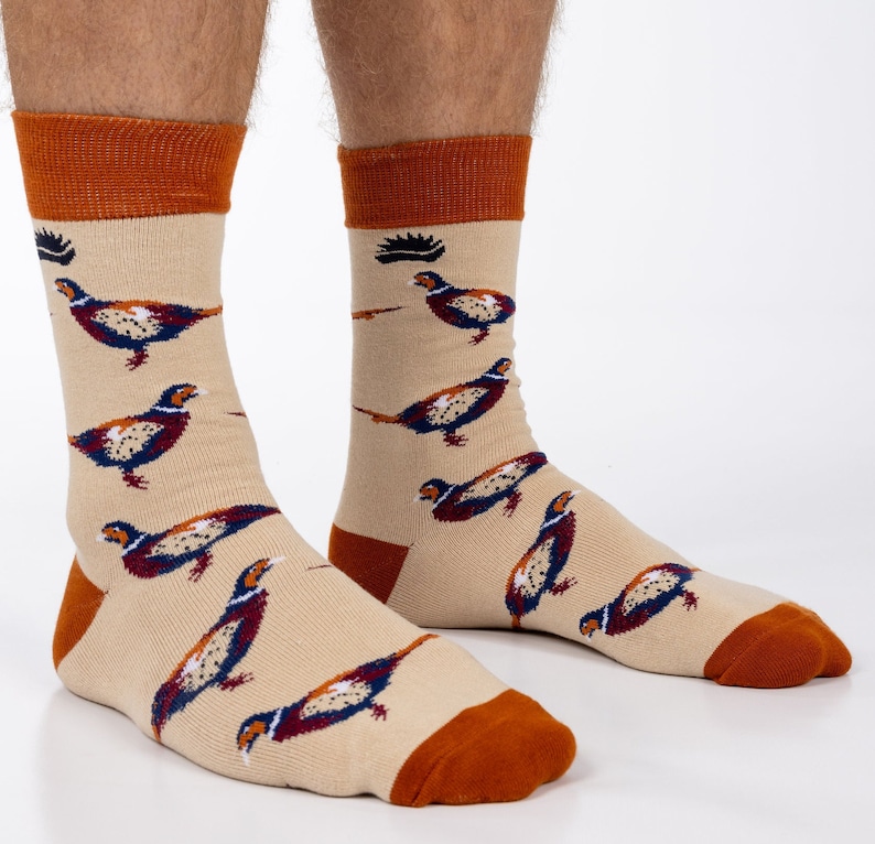 May include: A pair of beige socks with a brown cuff and a repeating pattern of colourful pheasants.