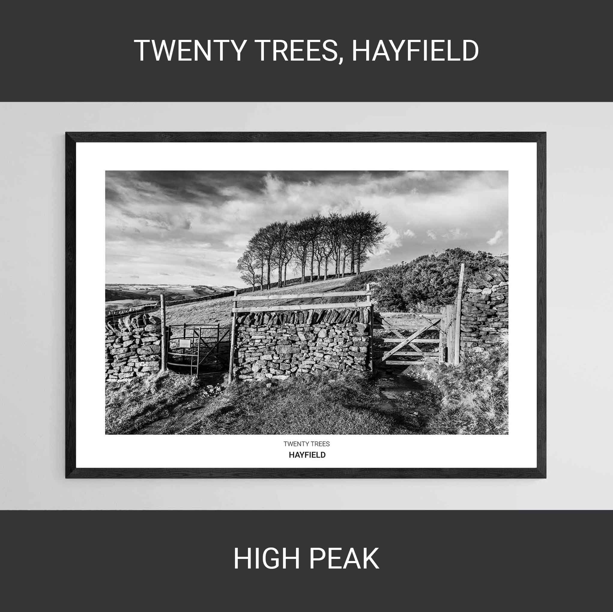 Twenty Trees, Hayfield • High Peak, The Peak District • Dark Peak • Giclée Print