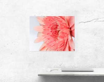 Metal Print of a Pink Flower