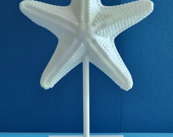 3D Druck Maritime Dekoration auf Halter – Seestern, Fisch & Krabbe/Hummer, Geschenkidee, Meeresdeko, Sommerdeko, Nautik Deko, Deko Meer