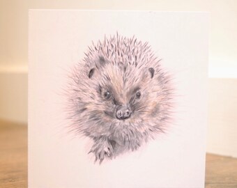 Hedgehog Greeting Card