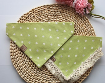 Green Floral dog bandana for spring "Vitamin daisies" // light green and white flower bandana for spring and summer, pet spring accessory