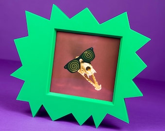 Coyotevision - Original Polaroid Photograph with Frame!