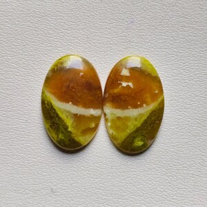 May include: Two oval-shaped cabochons featuring a smooth, polished surface with a distinct color gradient. The stones display a blend of deep amber, golden yellow, and olive green tones, separated by a thin, horizontal white mineral vein.