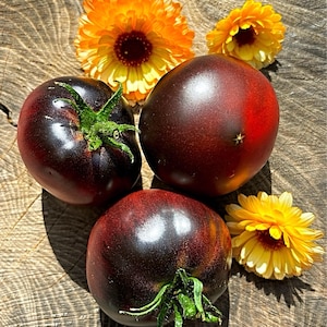 LA CADERO Erbstück-Tomaten - Seltene Samen