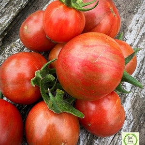 ARTISAN PURPLE BUMBLEBEE Heirloom Cherry Tomato - Organic Seeds