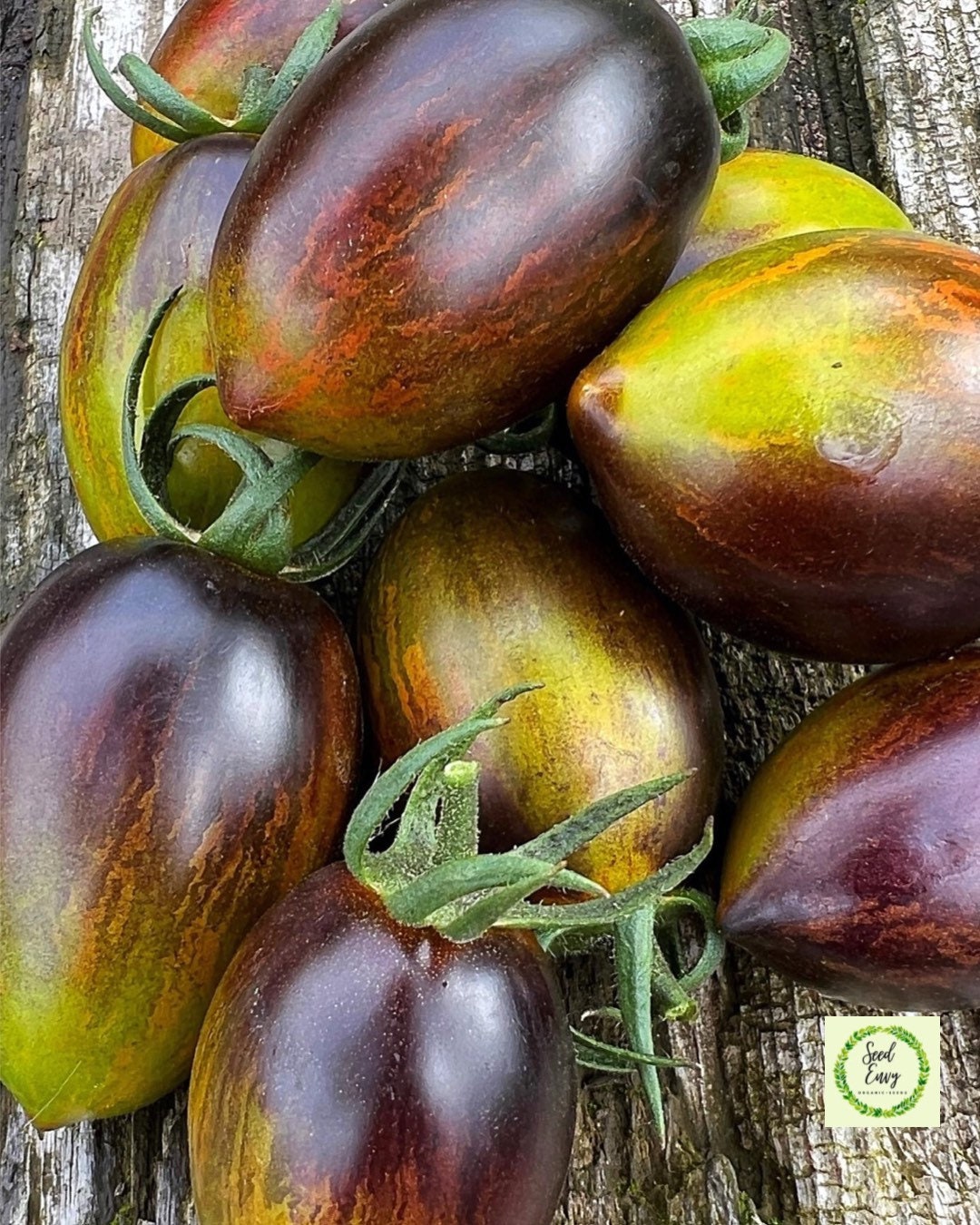 BRAD'S ATOMIC GRAPE Heirloom Tomato Organic Seeds Etsy UK