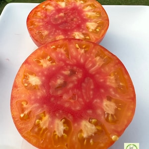 GOLDEN PINEAPPLE Heirloom Tomato - Organic Seeds
